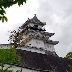 Shinkansen ticket: From Tokyo to Kakegawa