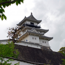 Shinkansen Ticket Online Booking : Shizuoka to Kakegawa