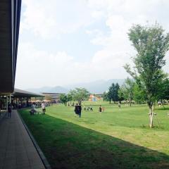 Shinkansen Ticket Online Booking: From Iiyama to Karuizawa