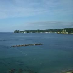 Limited Express Train Ticket Online Booking: Tokyo to Katsuura (Wakashio)