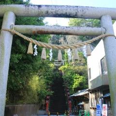 Limited Express Train Ticket Online Booking: Tokyo to Katsuura (Wakashio)