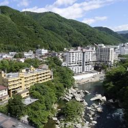 Limited Express Spacia Kinugawa Train Ticket Online Booking : Shinjuku to Kinugawa-Onsen