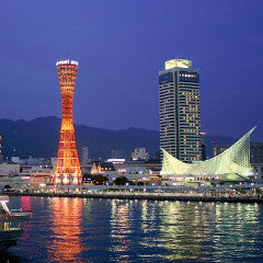 Shinkansen ticket: From Nagoya to Shin-Kobe