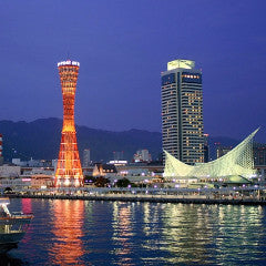 Shinkansen Ticket Online Booking : Tokyo to Shin-Kobe (NOZOMI)