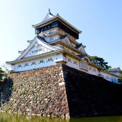 Limited Express train ticket: From Oita to Kokura (Sonic)