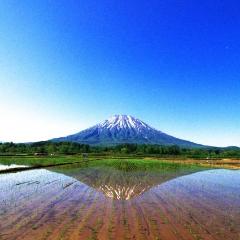 Train Ticket Online Booking : New Chitose Airport to Kutchan