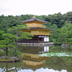 Limited Express Train Ticket Online Booking : Amanohashidate to Kyoto (Hashidate)