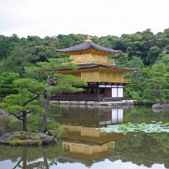 Limited Express train ticket: From Kinosakionsen to Kyoto (Kinosaki)