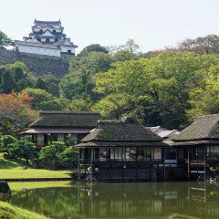 Shinkansen Ticket Online Booking: From Tokyo to Maibara