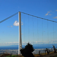 Shinkansen Ticket Online Booking: From Kyoto to Mishima