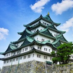 Shinkansen ticket: From Kakegawa to Nagoya