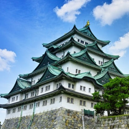 Limited Express Train Ticket Online Booking : Kii-Katsuura to Nagoya (Nanki)