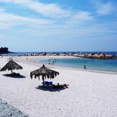 Limited Express train ticket: From Shin-Osaka to Shirahama (Kuroshio)