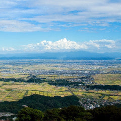 Shinkansen ticket: From Tokyo to Niigata