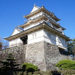 Shinkansen Ticket Online Booking : Mikawa-Anjo to Odawara