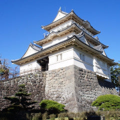 Shinkansen Ticket Online Booking : Shin-Kobe to Odawara