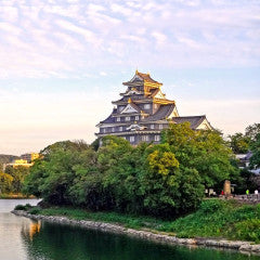 Shinkansen Ticket Online Booking: From Shin-Kobe to Okayama