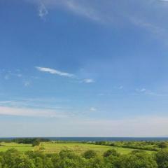 Train package: From Tokyo to Oshamambe (Hokuto/Hayabusa)