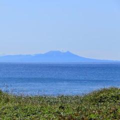 Train package: From Tokyo to Oshamambe (Hokuto/Hayabusa)