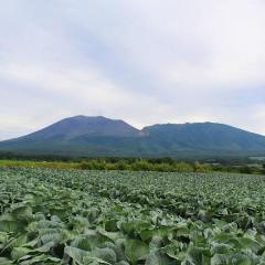 Shinkansen Ticket Online Booking: From Tokyo to Sakudaira