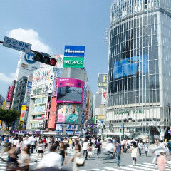 Narita Express: From Narita International Airport to Shibuya