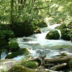 Shinkansen Ticket Online Booking: From Tokyo to Shichinohe-Towada