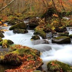 Shinkansen Ticket Online Booking: From Tokyo to Shichinohe-Towada