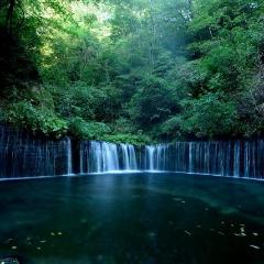 Shinkansen Ticket Online Booking: From Toyama to Karuizawa