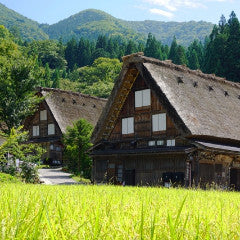 Train Package Online Booking : Nagano to Takayama (Shinkansen/Hida)