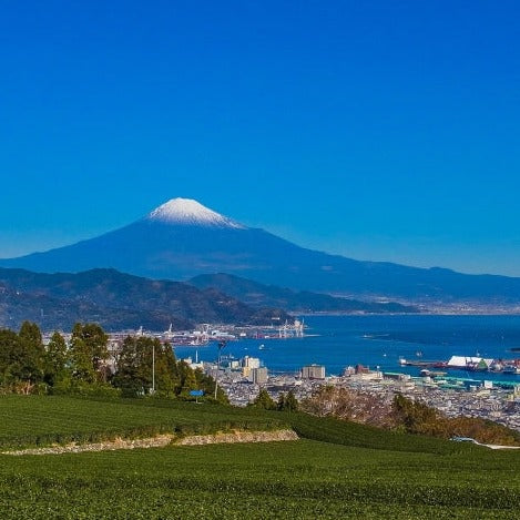 Shinkansen Ticket Online Booking : Hiroshima to Shizuoka