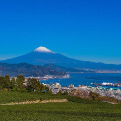 Shinkansen ticket: From Nagoya to Shizuoka