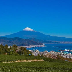 Shinkansen Ticket Online Booking : Kakegawa to Shizuoka