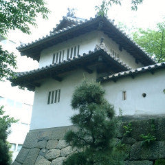 Shinkansen ticket: From Tokyo to Takasaki