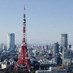 Train package: From Noboribetsu to Tokyo (Hokuto/Hayabusa)