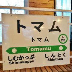 Train package: From New Chitose Airport to Tomamu