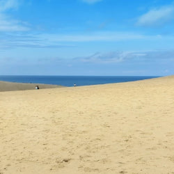 Limited Express Train Ticket Online Booking : Yonago to Tottori (Super Matsukaze/Super Oki)