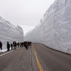 Shinkansen Ticket Online Booking: From Nagano to Toyama