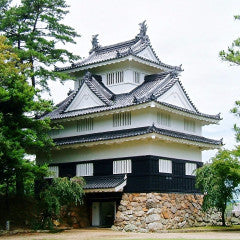 Shinkansen Ticket Online Booking : Shin-Osaka to Toyohashi