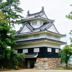 Shinkansen ticket: From Nagoya to Toyohashi