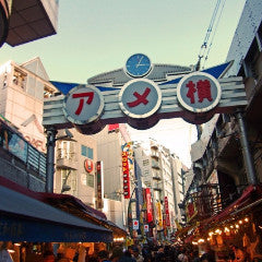 Shinkansen ticket: From Gala Yuzawa to Ueno