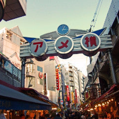 Shinkansen ticket: From Iiyama to Ueno