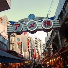 Shinkansen Ticket Online Booking: From Joetsumyoko to Ueno