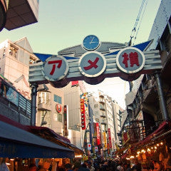 Shinkansen Ticket Online Booking: From Kanazawa to Ueno