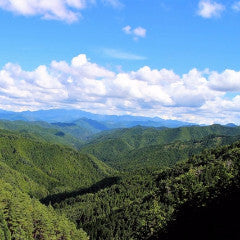 Limited train ticket online booking: From Shin-Osaka to Wakayama (Kiisanchi)