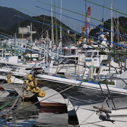 Train package: From Kyoto to Yaizu