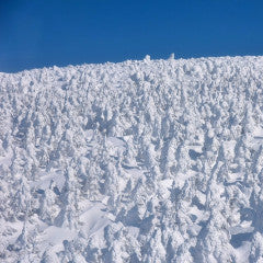 Shinkansen ticket: To Yamagata Zaou