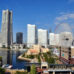 Narita Express: From Narita International Airport to Yokohama